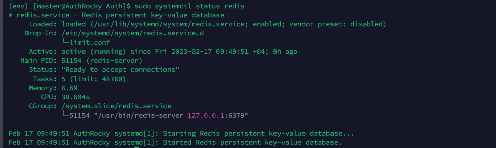 redis_status.png